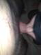 Private Photo of miky_79