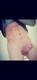 Private Photo of Blonde_ToyBoy