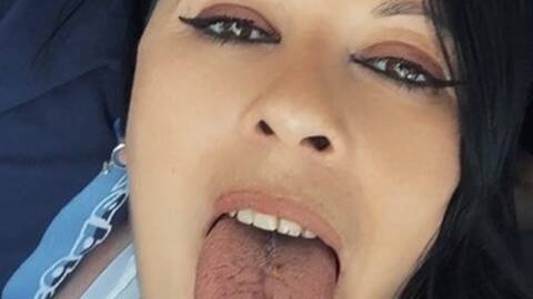 Arabacastigatrice