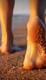Piedi